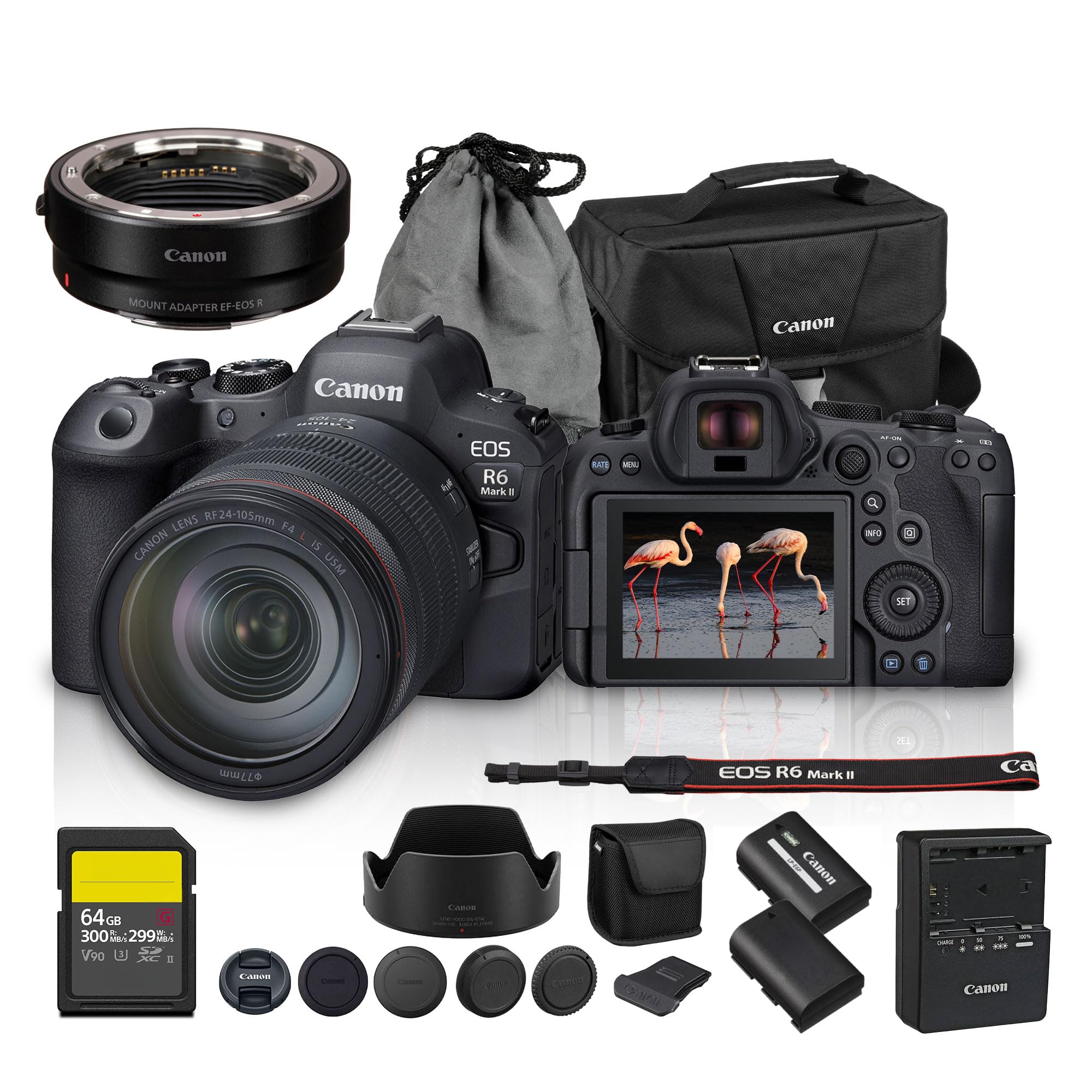 Amazon.com : Canon EOS R6 Mark II Mirrorless Camera Kit with RF 24